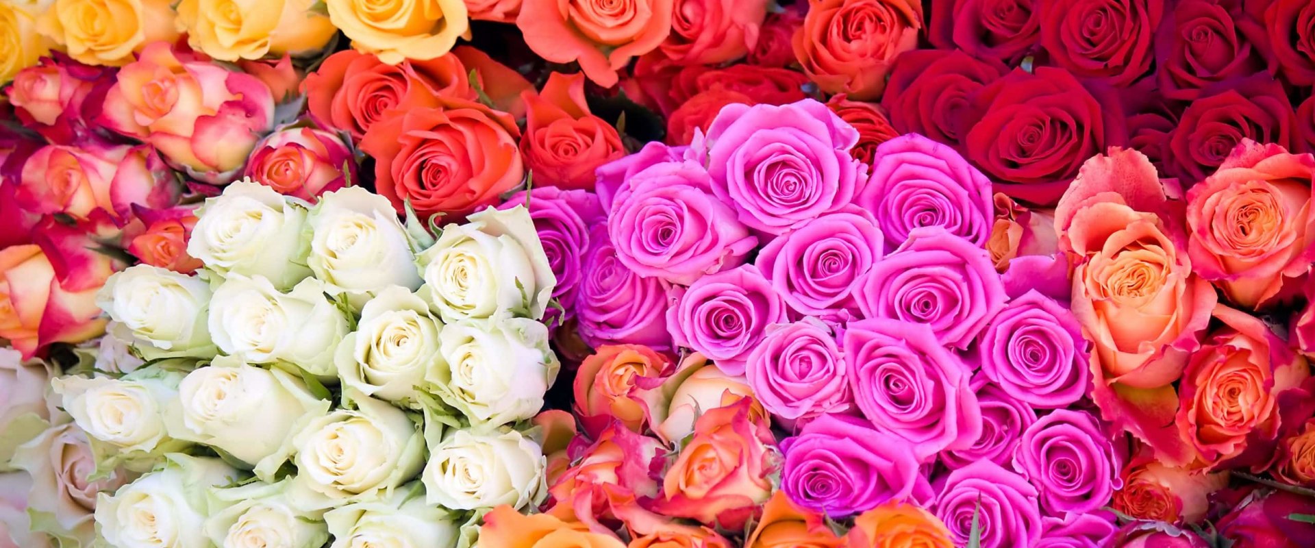 Is it cheaper to buy flowers from a wholesaler?